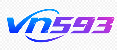 VN593